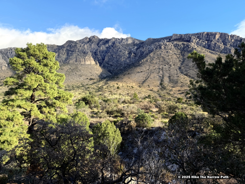 Guadalupe Mountains