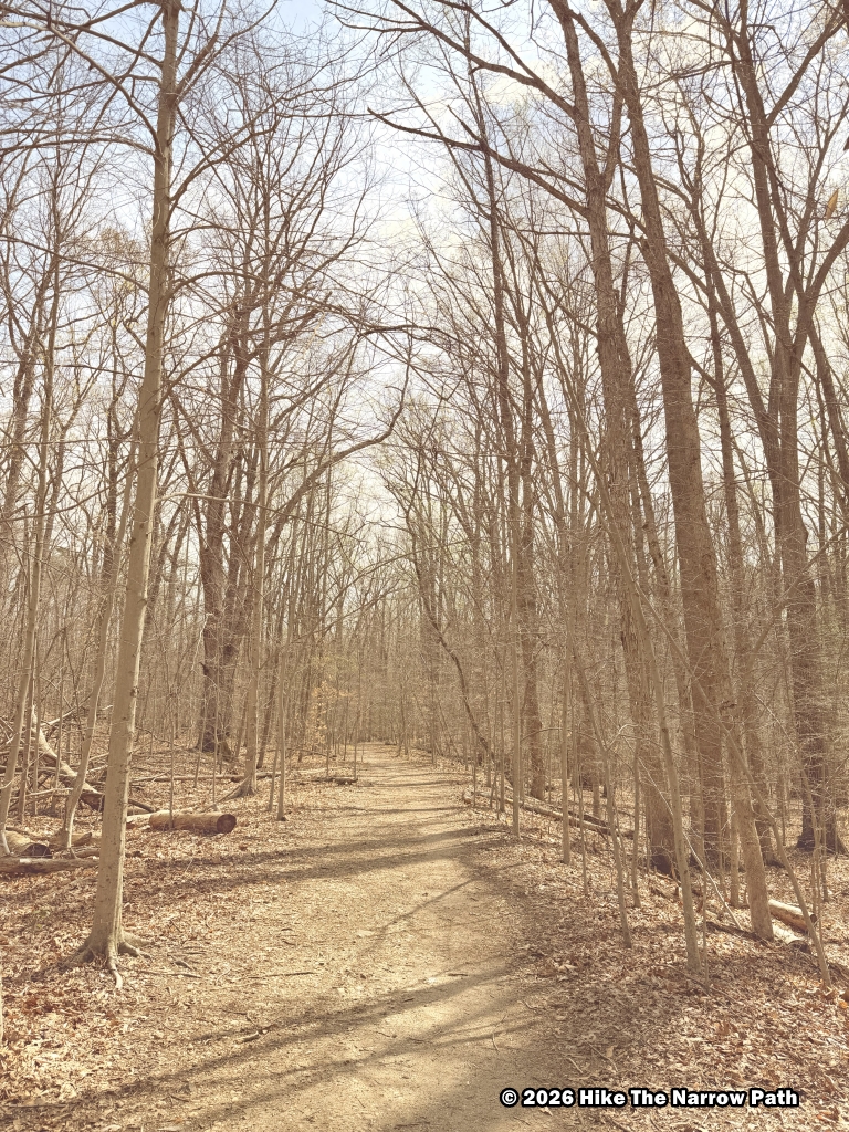 Prince William Forest