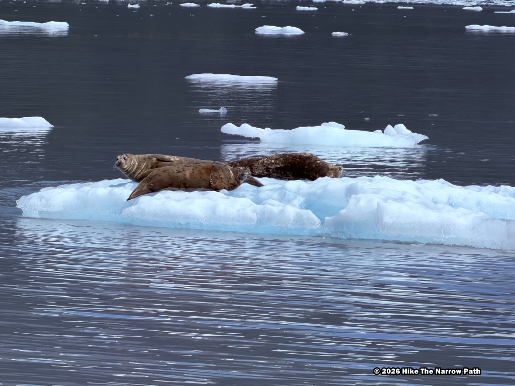 Kenai Fjords National Park