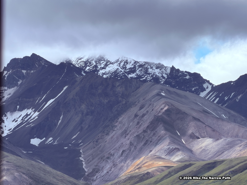 Denali National Park