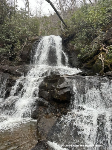 Laurel Falls