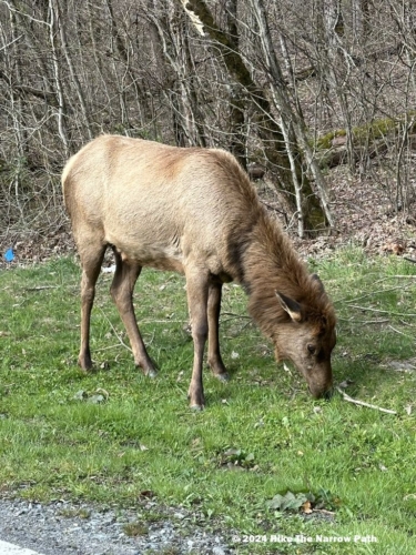 Oconaluftee Visitor Center