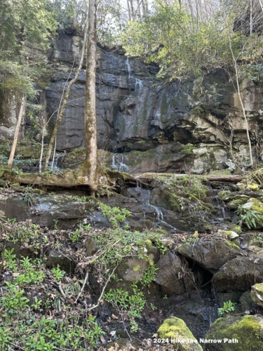 Roaring Fork Nature Drive