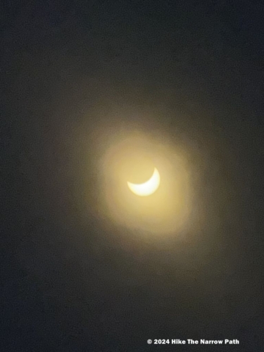 Partial Solar Eclipse