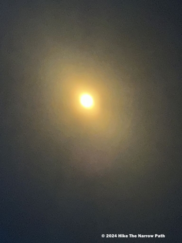 Partial Solar Eclipse