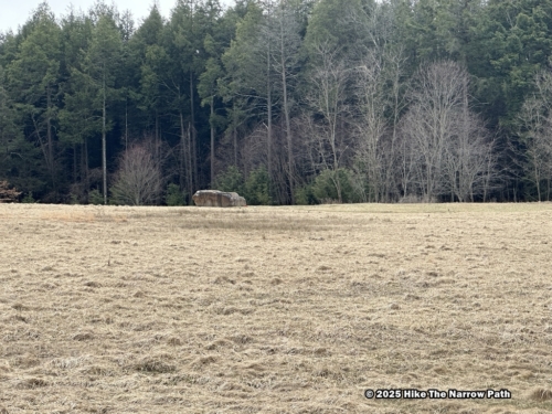 Impact Site - Boulder