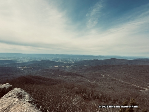 Shenandoah 