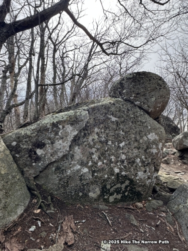 Shenandoah 