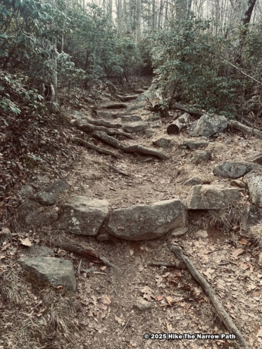 Shenandoah 