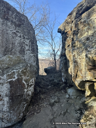 Shenandoah 