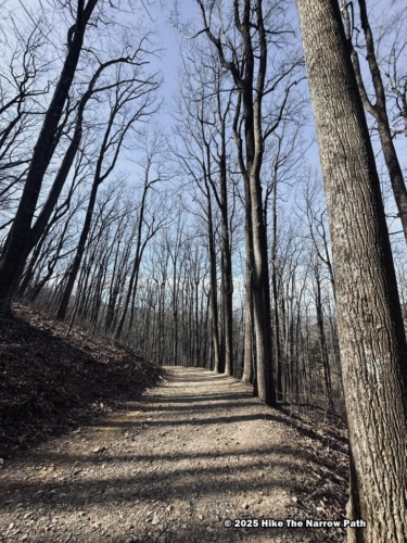 Shenandoah 
