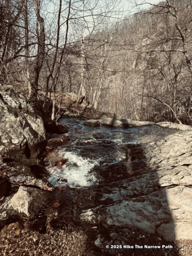 Shenandoah 