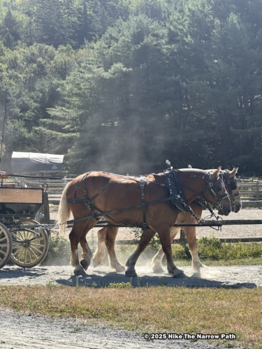 Rockefeller Bridge Tour