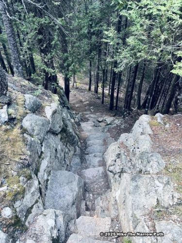 Schoodic Head Trail