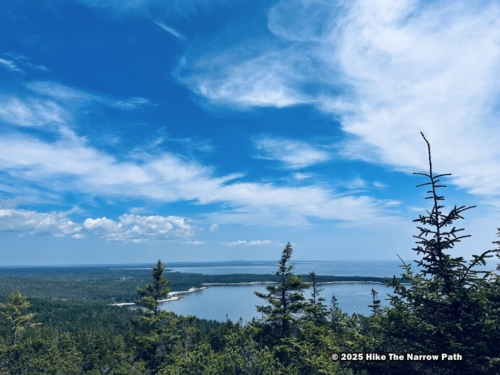 Schoodic Head Overlook