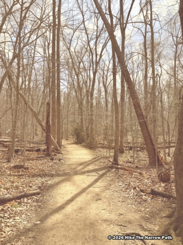 Laurel Loop Trail