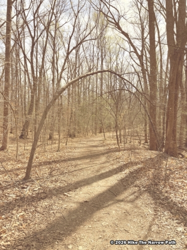 Laurel Loop Trail