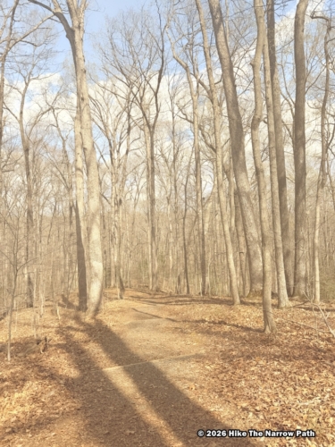 Mary Bird Branch Trail