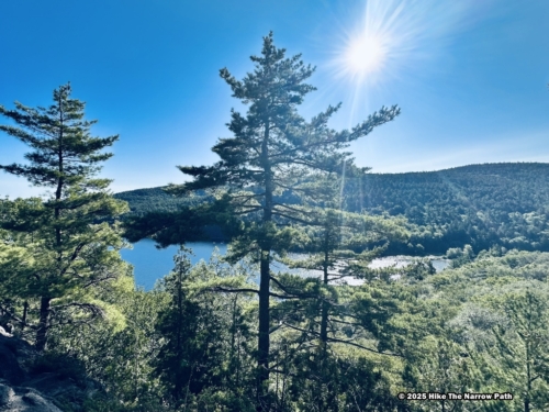 Beech Cliff Overlook