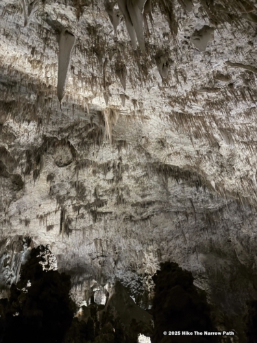 Carlsbad Caverns