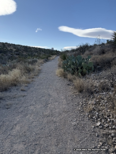 Chihuahuan Desert Nature Trail