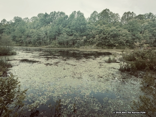 Sloans Crossing Pond