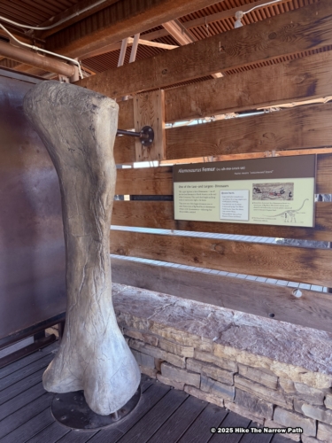 Fossil Discovery Exhibit