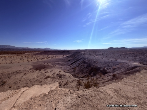 Fossil Discovery Exhibit