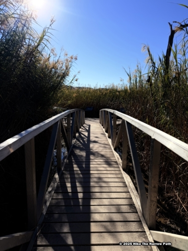Rio Grande Village Nature Trail