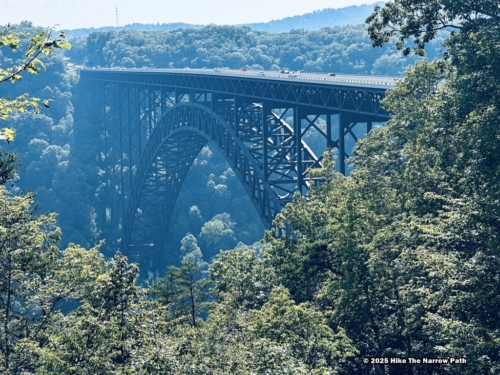 Canyon Rim Boardwalk