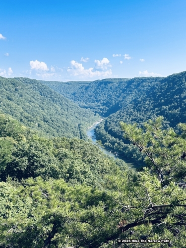 Canyon Rim Boardwalk