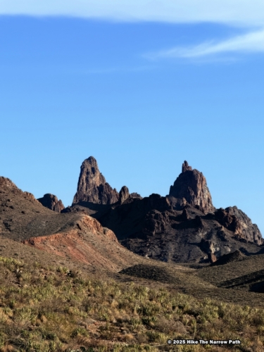 Mule Ears Overlook