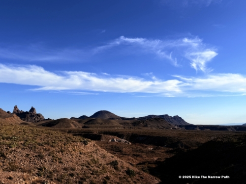 Mule Ears Overlook