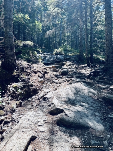 Beech Mountain Trail