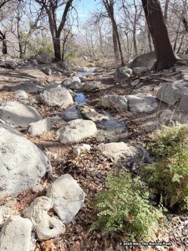 Smith Spring Trail Loop