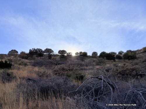 Smith Spring Trail Loop