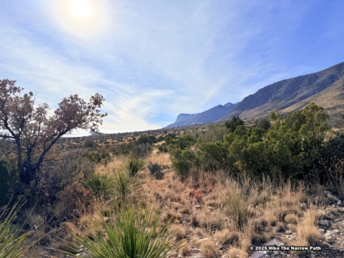 Smith Spring Trail Loop