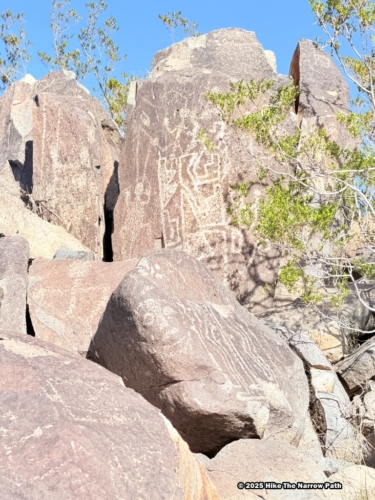 Three Rivers Petroglyph Site