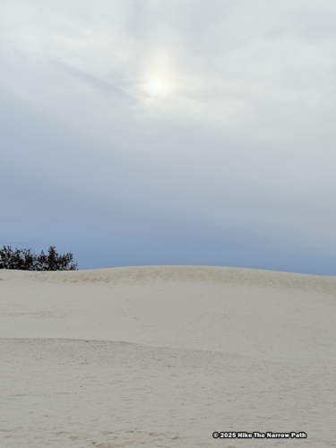 Dune Life Nature Trail