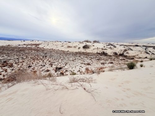 Dune Life Nature Trail
