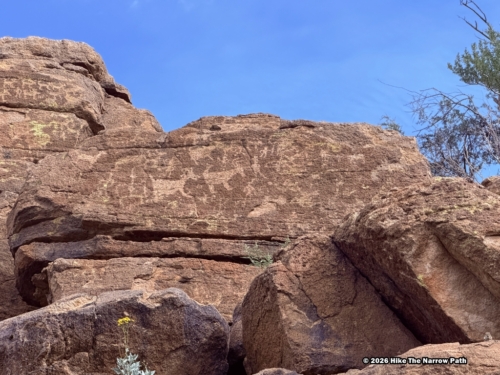 Picture Rock Petroglyphs