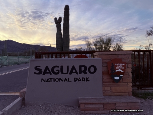 Saguaro Park Sign