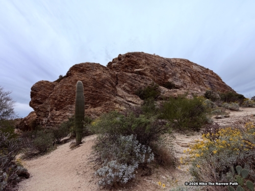 Javelina Rocks Overlook