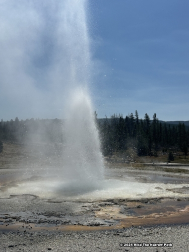 Sawmill Geyser