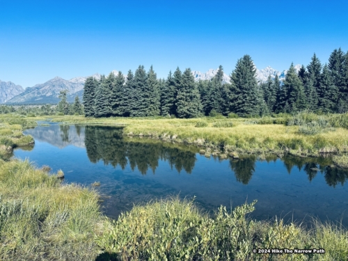 Blacktail Ponds Overlook