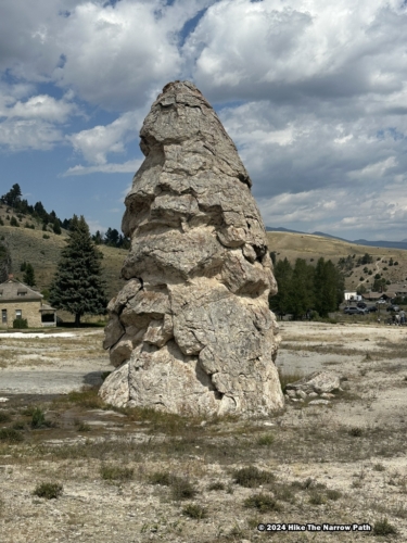 Liberty Cap