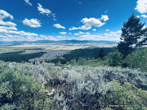 Signal Mountain Summit