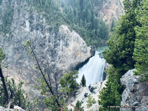 Brink of the Lower Falls
