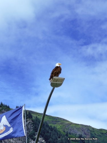 Eagle