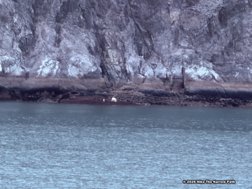Glacier Bay NP